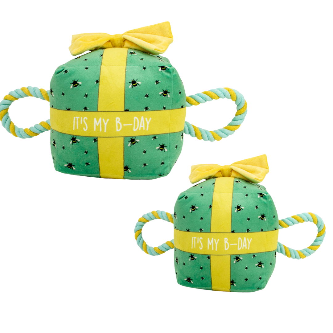 Ancol B-Day Present - Squeaky, Plush Birthday Toy for Dogs