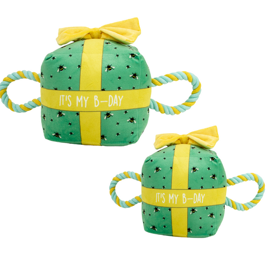 Ancol B-Day Present - Squeaky, Plush Birthday Toy for Dogs