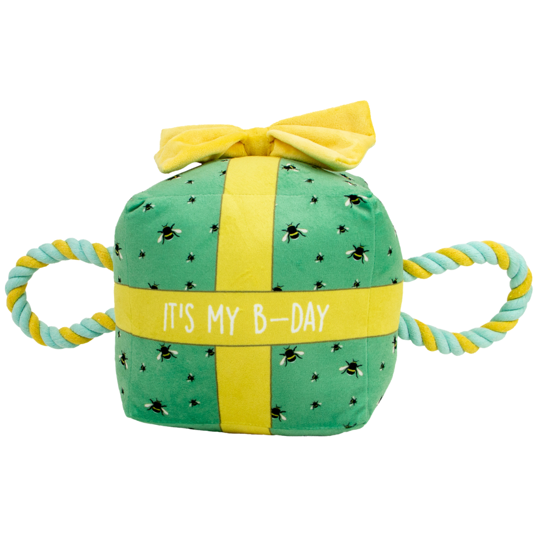 Ancol B-Day Present - Squeaky, Plush Birthday Toy for Dogs