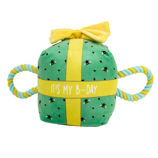 Ancol B-Day Present - Squeaky, Plush Birthday Toy for Dogs