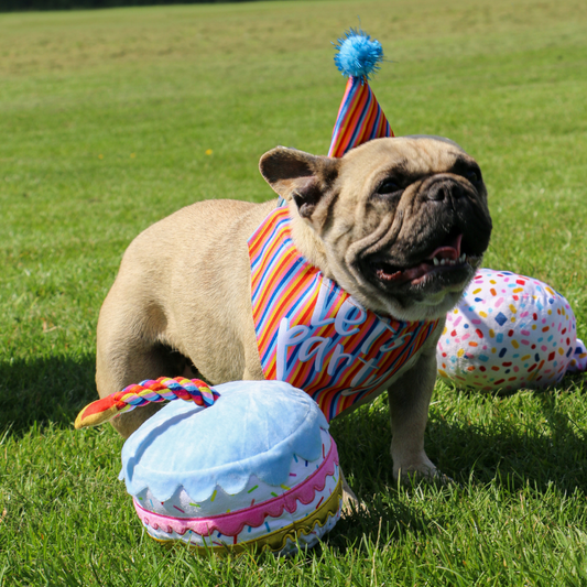Ancol Pawty Sprinkle Cake - Plush, Squeaky Celebration Toy for Dogs