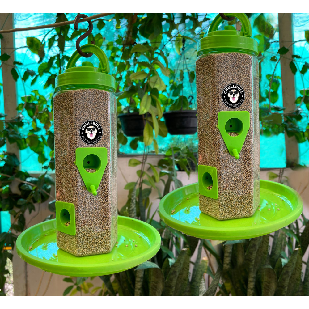 Chullbull Balcony Grill Food Feeder for Birds (Green)